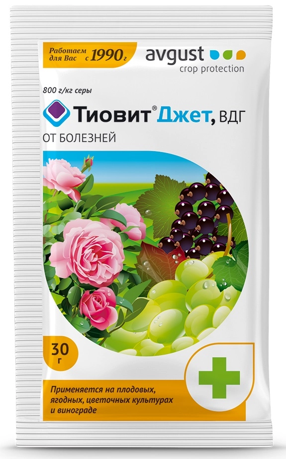 Тиовит Джет 30г Август