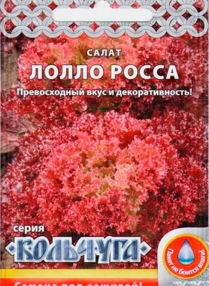 Салат Лолло-Росса "Кольчуга" НК