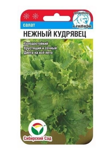 Салат Нежный кудрявец СибСад Ц
