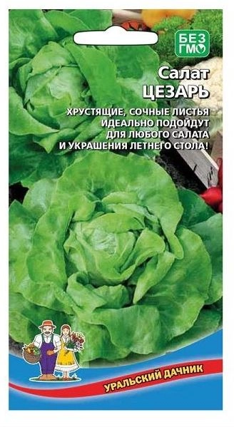 Салат Цезарь Марс Ц