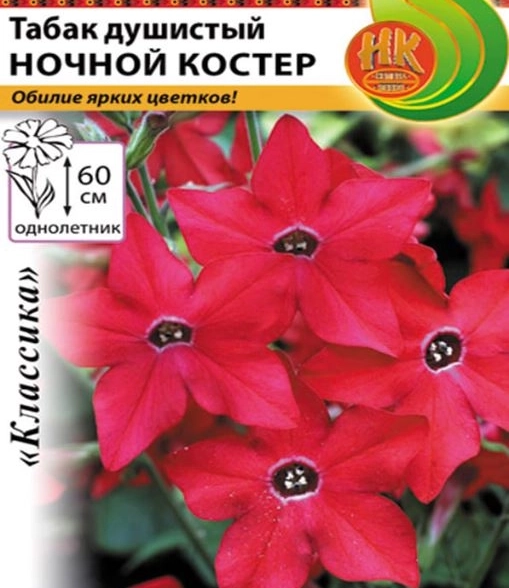 Табак душистый Ночной костер НК Ц