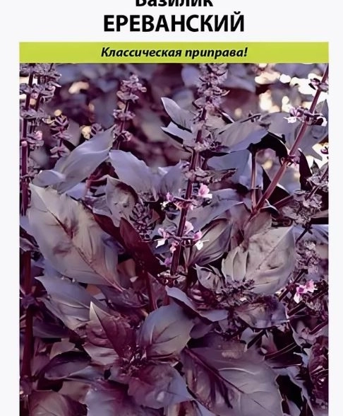 Базилик Ереванский НК Ц
