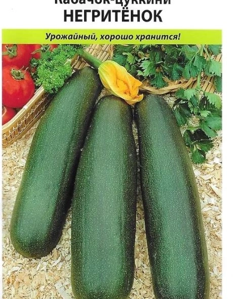 Кабачок Негритенок цуккини НК Ц