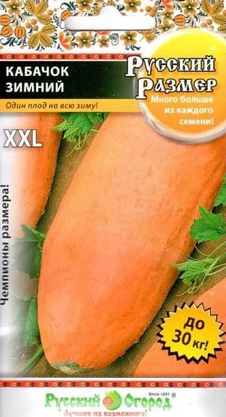 Кабачок Русский Размер зимний НК Ц