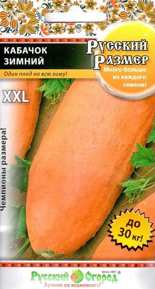 Кабачок Русский Размер зимний НК Ц