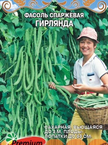 Фасоль Гирлянда спаржевая Премиум Сидс Ц