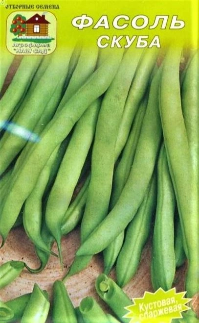 Фасоль Скуба кустов Наш сад Ц