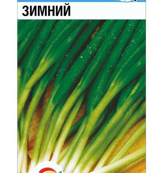 Лук батун зимний СибСад Ц