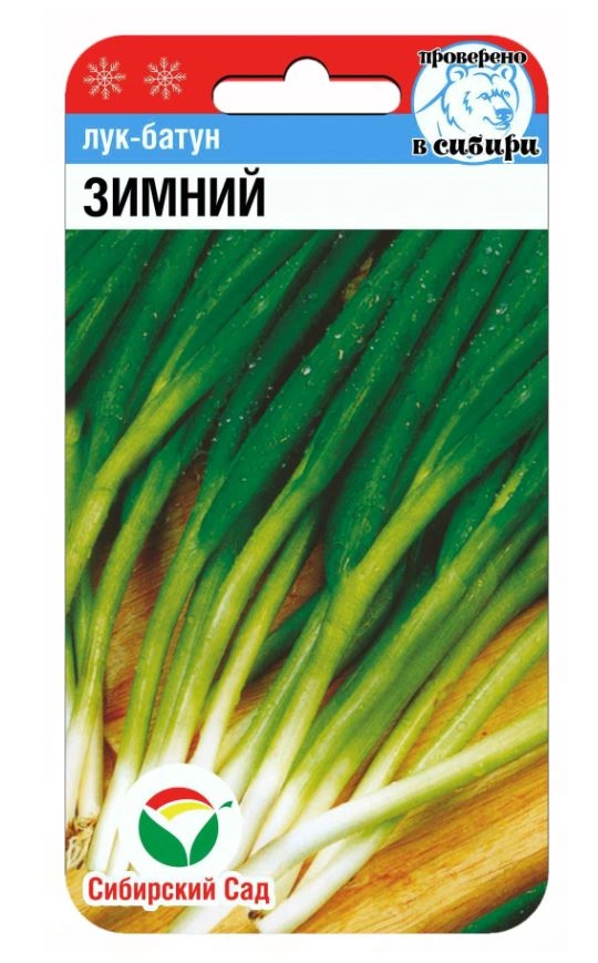 Лук батун зимний СибСад Ц