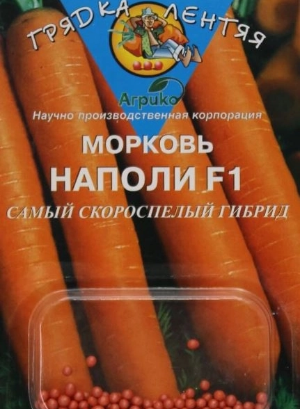 Морковь Наполи ГЛ Агрико