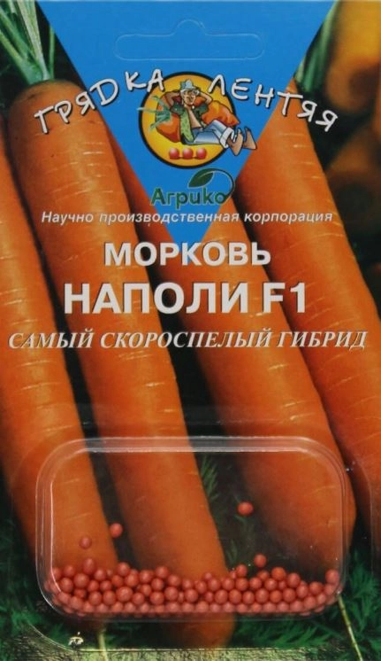 Морковь Наполи ГЛ Агрико