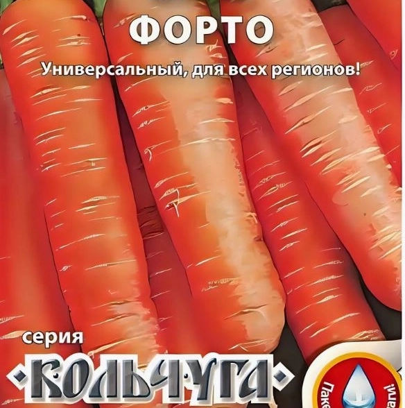 Морковь Форто Кольчуга НК