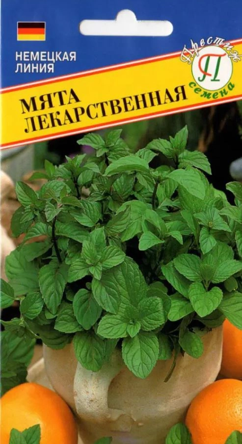 Мята лекарственная Престиж Ц