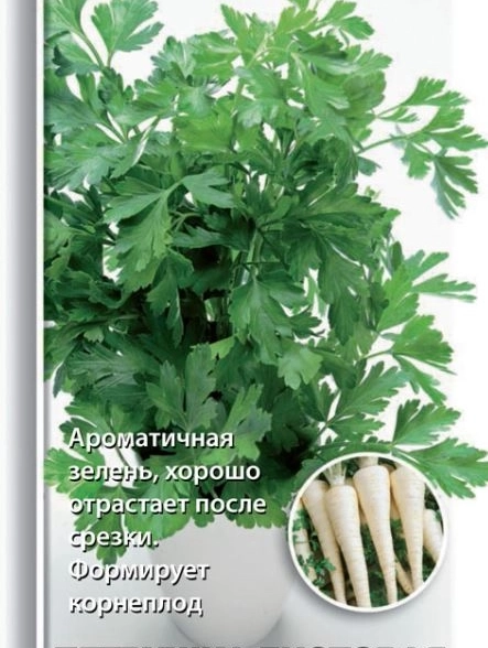 Петрушка Богатырь (ЦВ) 3гр.