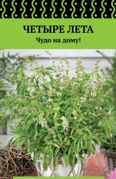 Базилик овощной Свежесть(сер.Четыре лета)(А)(ЦВ) 0,1 гр