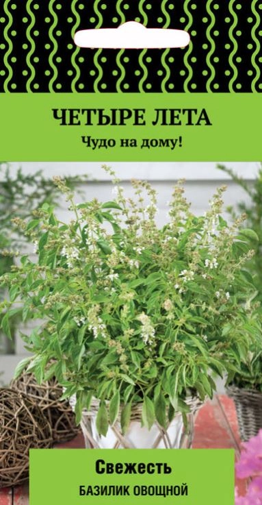 Базилик овощной Свежесть(сер.Четыре лета)(А)(ЦВ) 0,1 гр