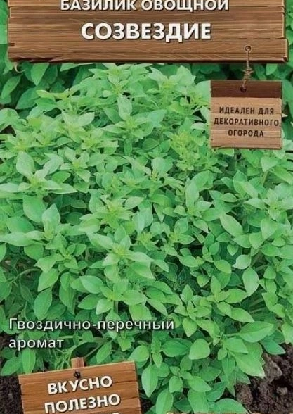 Базилик овощной Созвездие (сер.Декоративный огород) (А) (ЦВ) 0,1гр