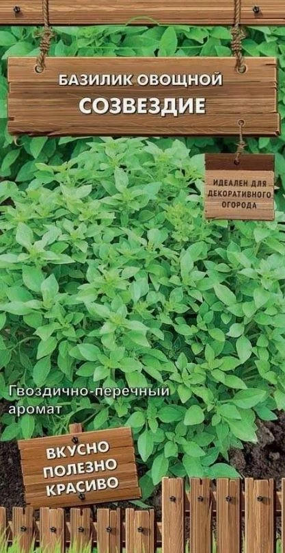 Базилик овощной Созвездие (сер.Декоративный огород) (А) (ЦВ) 0,1гр