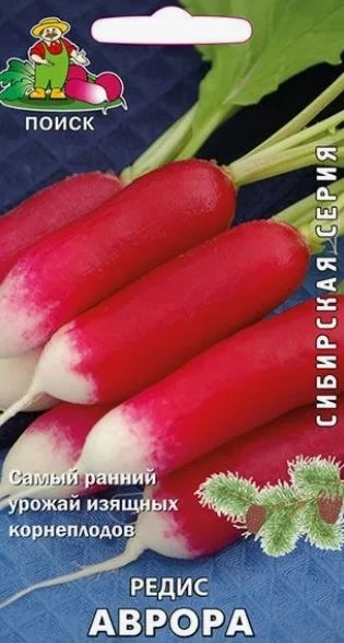 Редис Аврора (сиб.серия) (А) (ЦВ) 3гр.