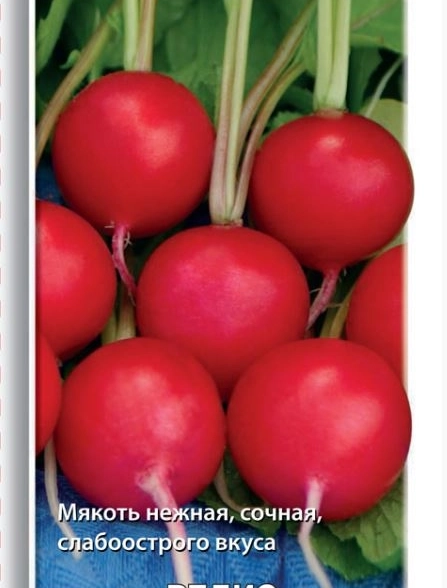 Редис Дуро Краснодарское (ЦВ) 3гр.