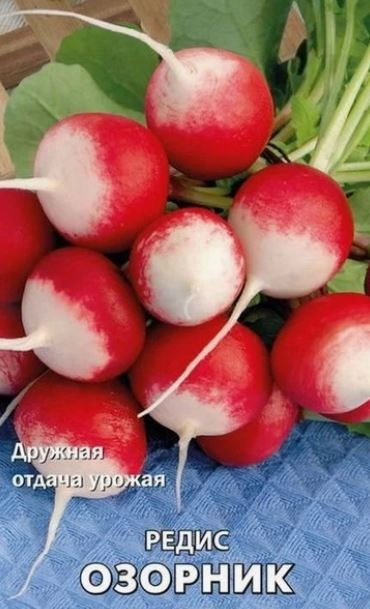 Редис Озорник (А) (ЦВ) 3гр.