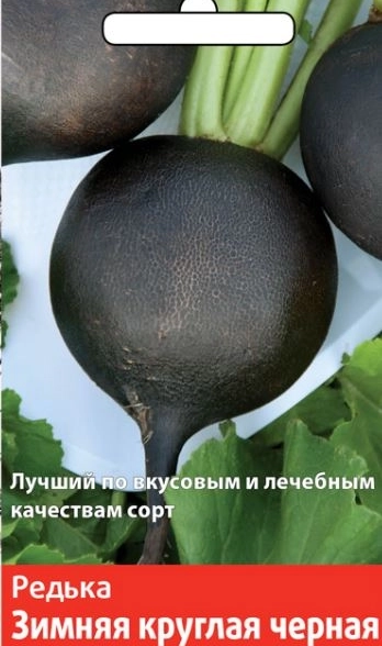 Редька Зимняя круглая черная (Семетра) 2гр