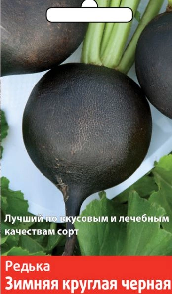 Редька Зимняя круглая черная (Семетра) 2гр