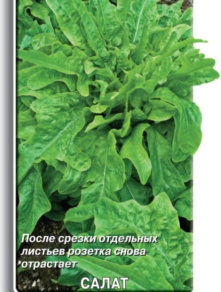 Салат Дубачек МС (ЦВ) 1гр.