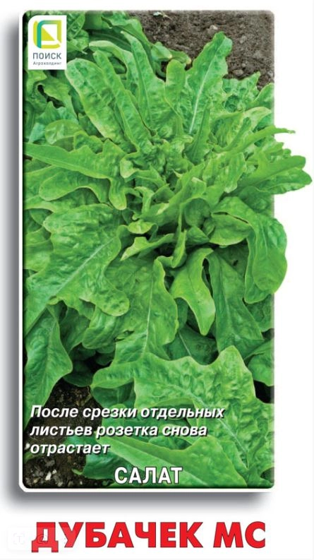Салат Дубачек МС (ЦВ) 1гр.