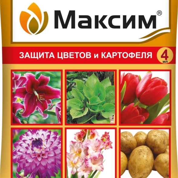 Максим 4 мл амп