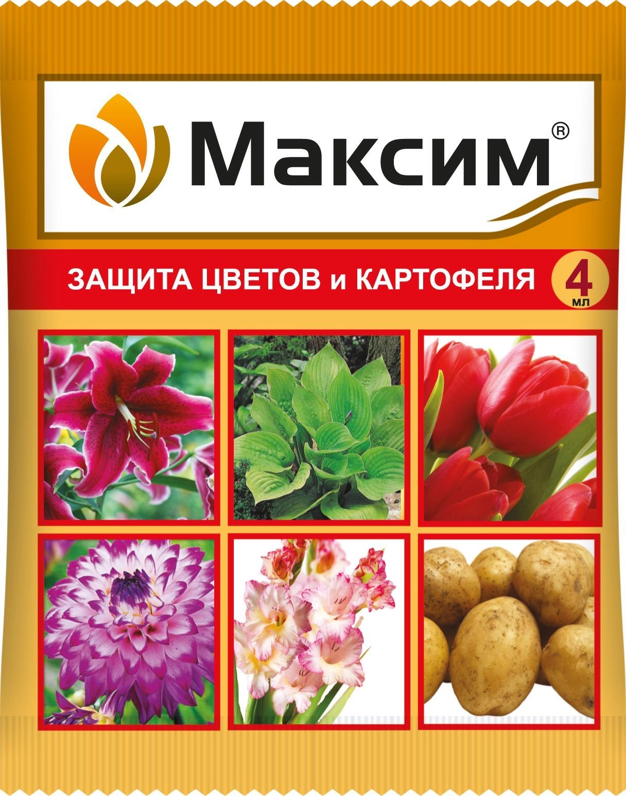 Максим 4 мл амп