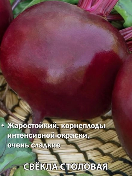 Свекла столовая Хуторянка (А) (ЦВ) 3гр.