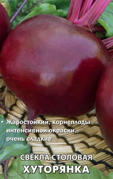 Свекла столовая Хуторянка (А) (ЦВ) 3гр.