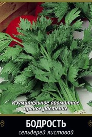 Сельдерей листовой Бодрость (А)(Семетра) 0,5гр