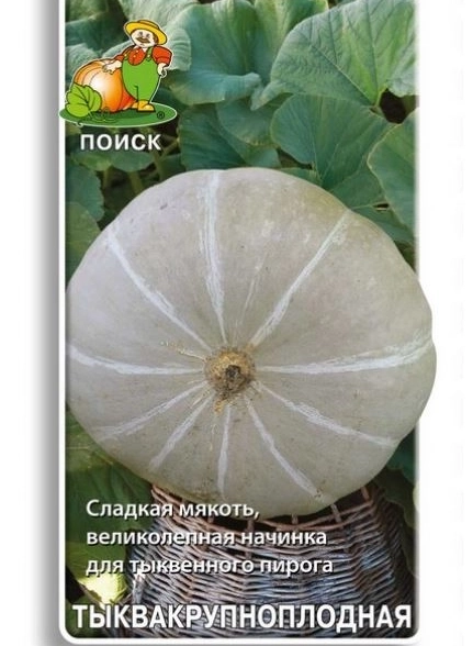 Тыква крупноплодная Заславия (ЦВ) 10шт.