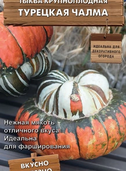 Тыква крупноплодная Турецкая чалма декор.огород (ЦВ) 5шт.