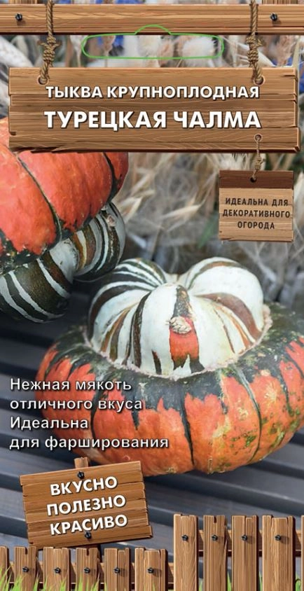 Тыква крупноплодная Турецкая чалма декор.огород (ЦВ) 5шт.