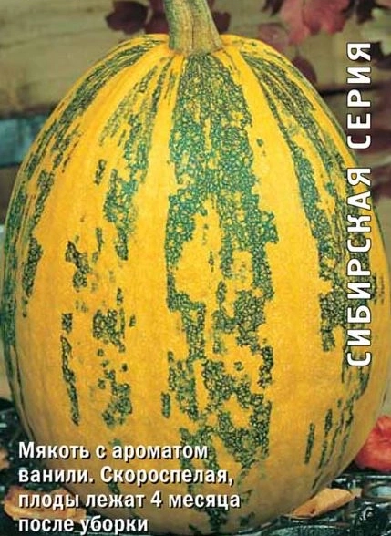 Тыква твердокорая (сиб.серия) Дачная ЦВ 10шт.