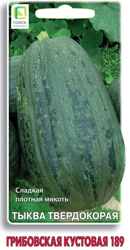 Тыква твердокорая Грибовская кустовая 189 (ЦВ) 10шт.