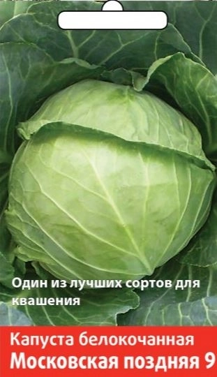 Капуста белокочанная Московская поздняя 9 (А)(Семетра)  0,5гр.