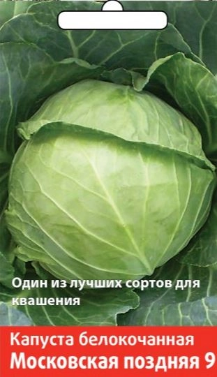 Капуста белокочанная Московская поздняя 9 (А)(Семетра) 0,5гр.