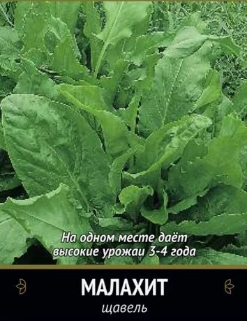 Щавель Малахит (А)(Семетра) 1гр