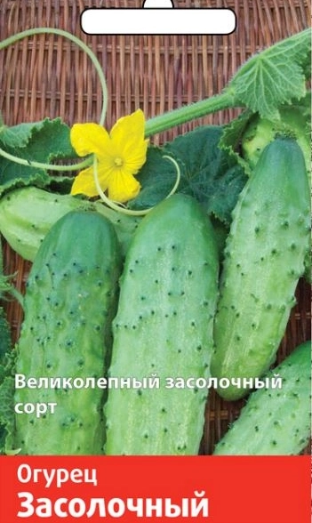 Огурец Засолочный (Семетра) 0,5гр.