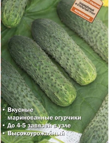 Огурец Ковбой F1 (А)(ЦВ) 12шт.