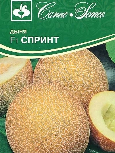 Дыня Спринт Семко Ц