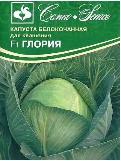 Капуста Глория Семко Ц