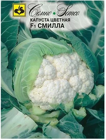 Капуста цветная Смилла Семко Ц