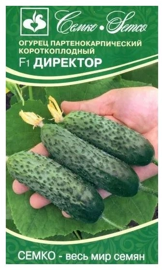 Огурец Директор Семко Ц