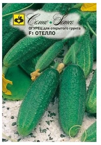 Огурец Отелло Семко Ц