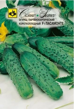Огурец Пасамонте Семко Ц